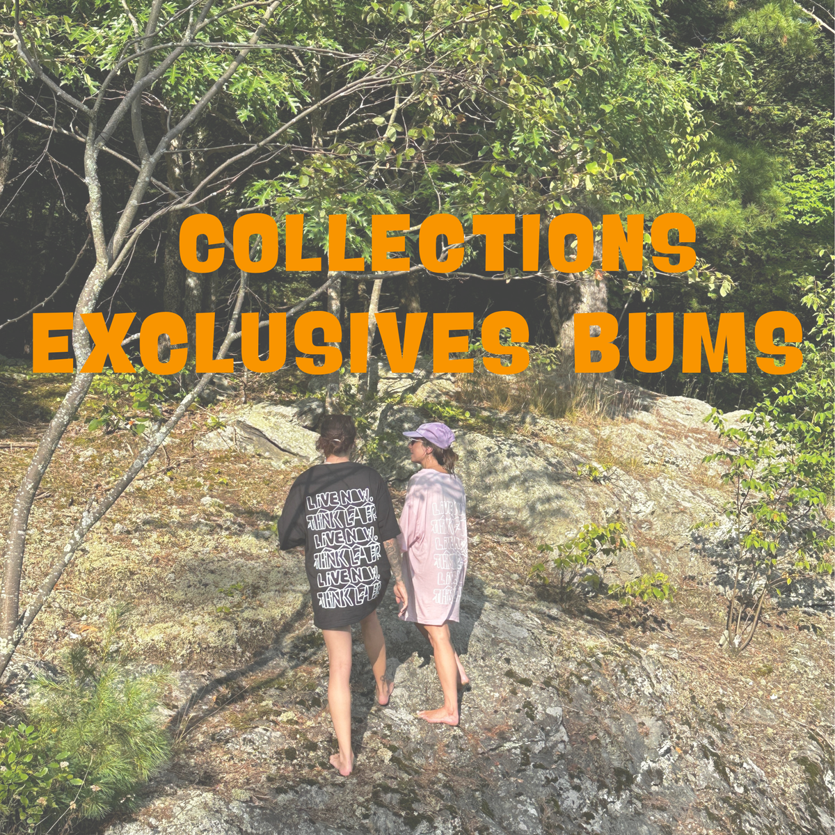 COLLECTIONS EXCLUSIVES BUMS