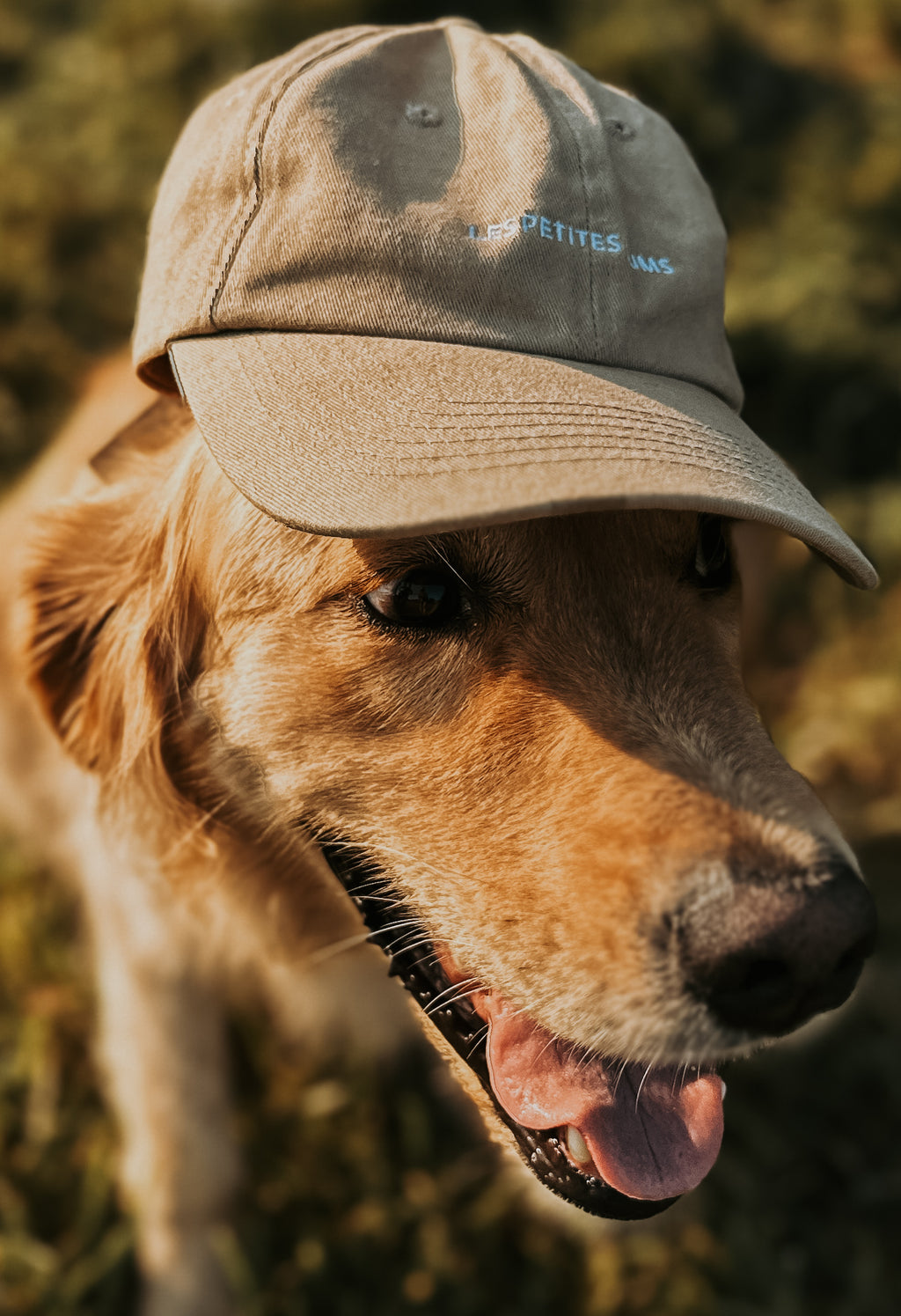 LES PETITES BUMS DAD'S HAT